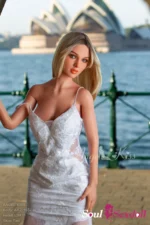 Soul Sex Doll E cup AK2s 165cm LS15s 31.webp