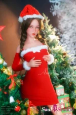 Soul Sex Doll D cup AK20s 164cm LS50s 11.webp
