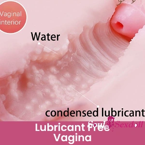 Lubricant Free Vagina