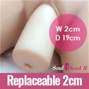 Removable