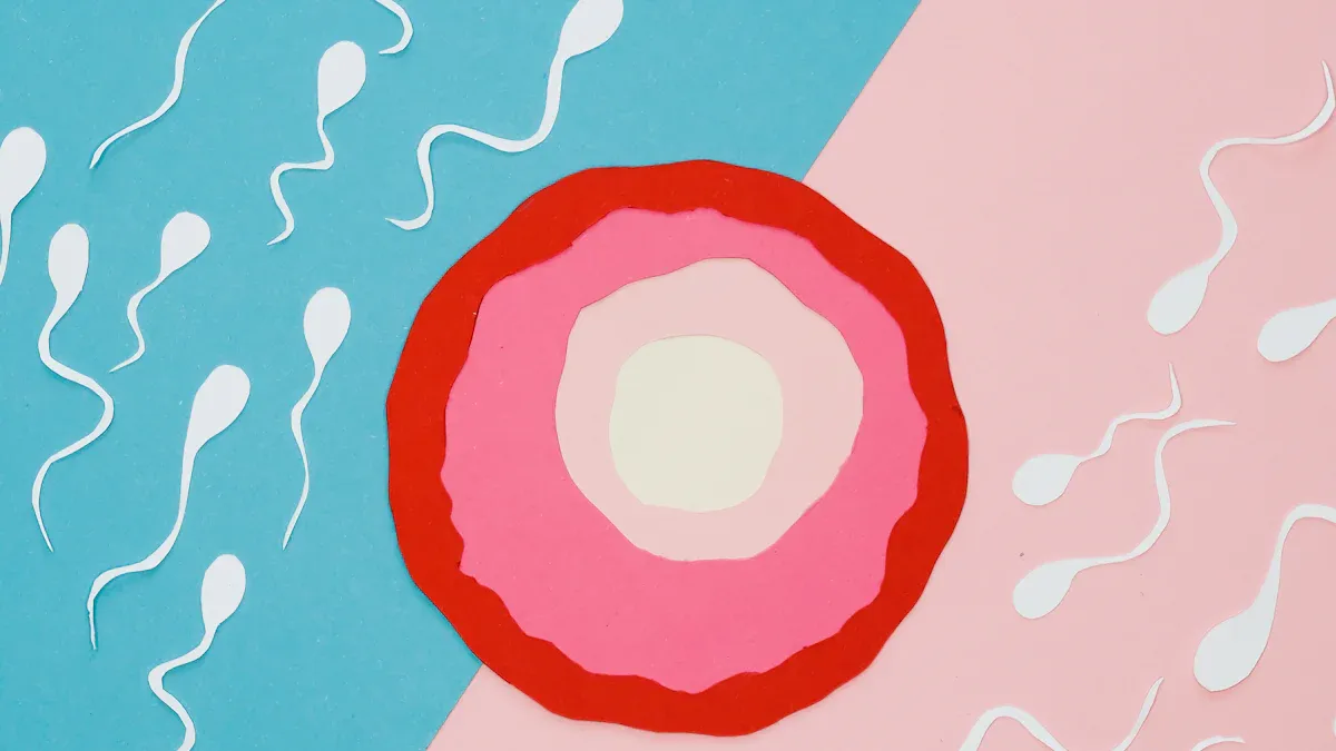 Understanding implantation